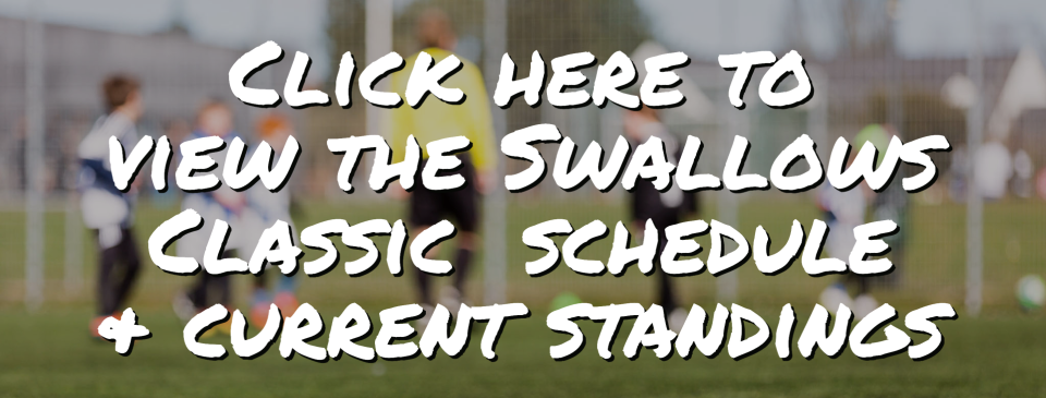 Swallows Classic Schedule/Standings